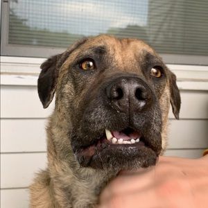 Meet your Posher, Tyler